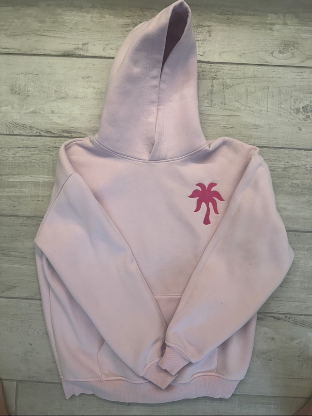 Pink Palm Puff Graphic Hoodie